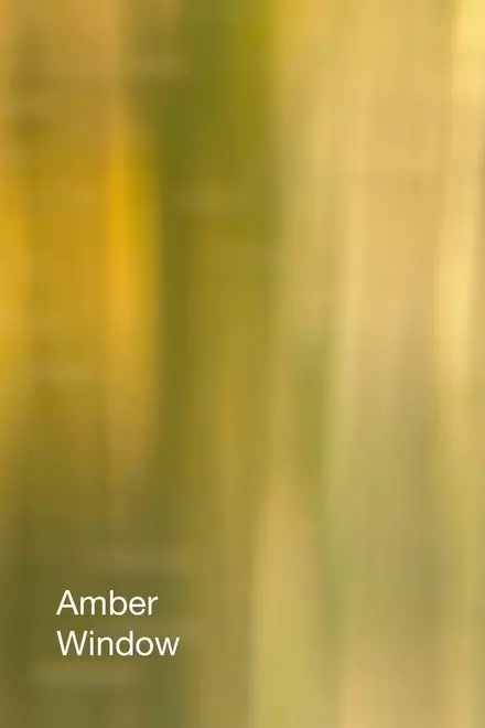 Amber Window