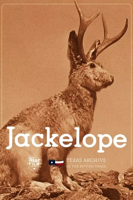 Jackelope