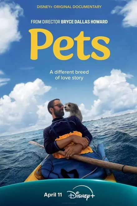 Pets